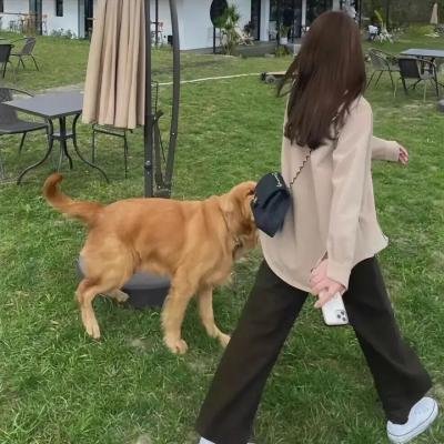教室的那一间第三季